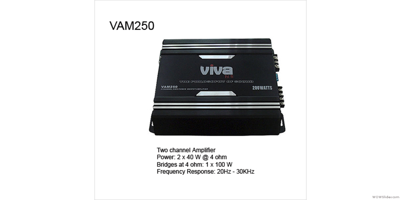 VAM250