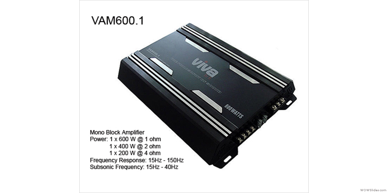 VAM600